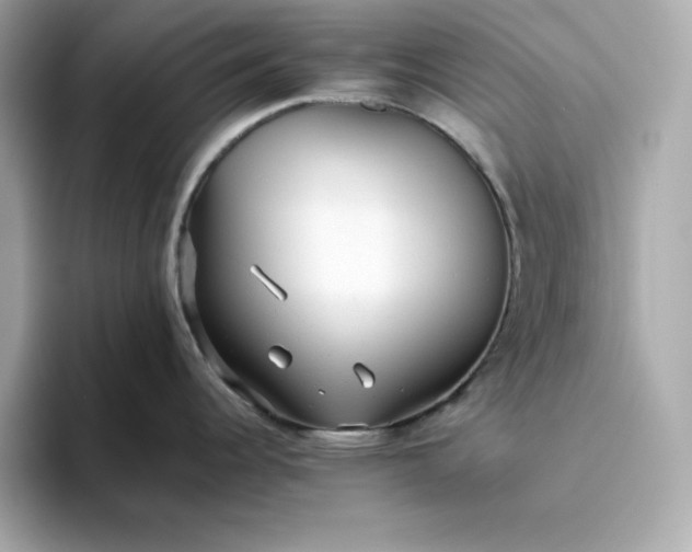 X0000093441344200710261032