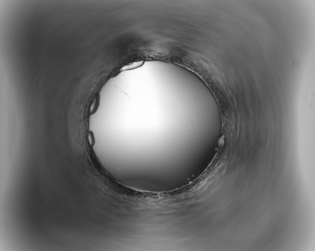 X0000093441345200710261031