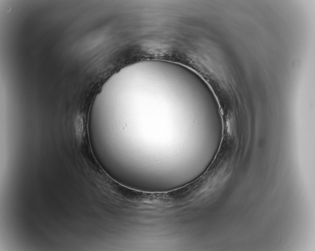 X0000093441347200710261031