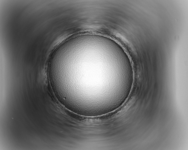 X0000093441354200710261031