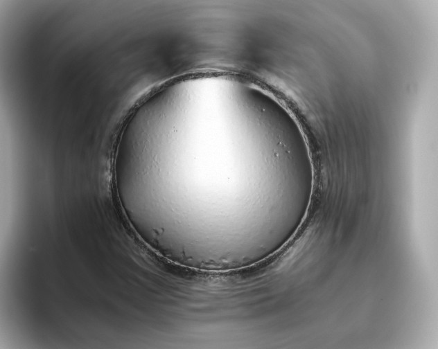 X0000093441355200710261031