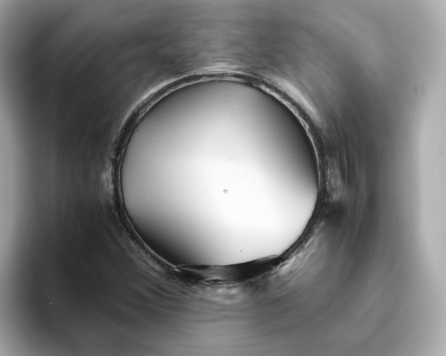 X0000093441356200710261031