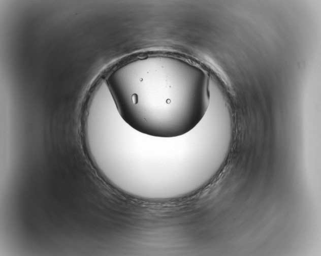 X0000093441360200710261031