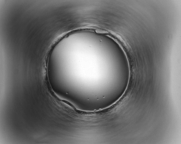 X0000093441363200710261031