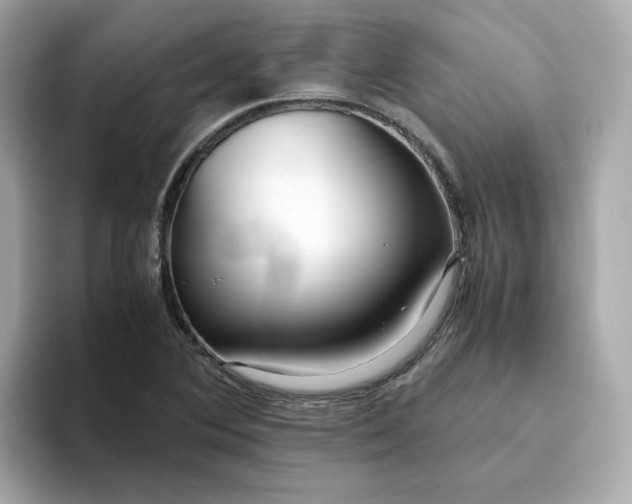 X0000093441364200710261031