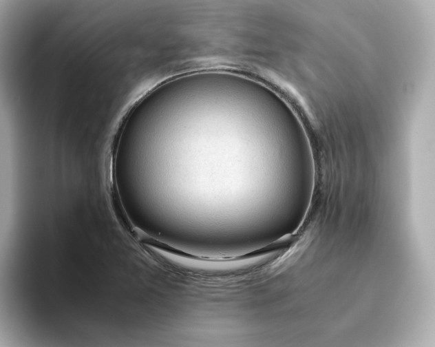 X0000093441365200710261031