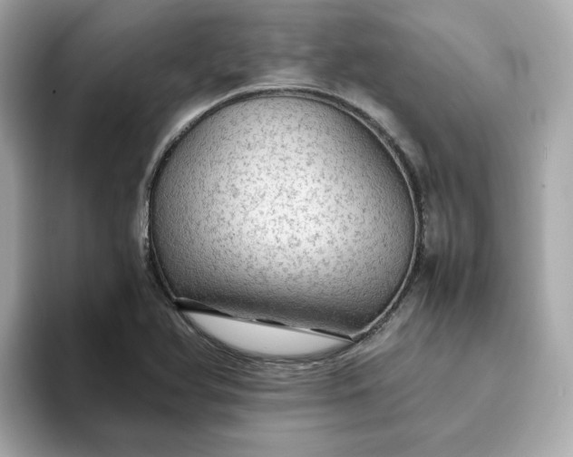 X0000093441366200710261031