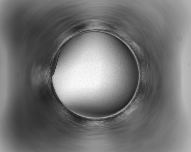 X0000093441369200710261031
