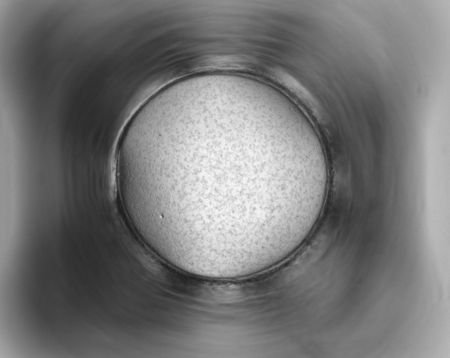 X0000093441370200710261031