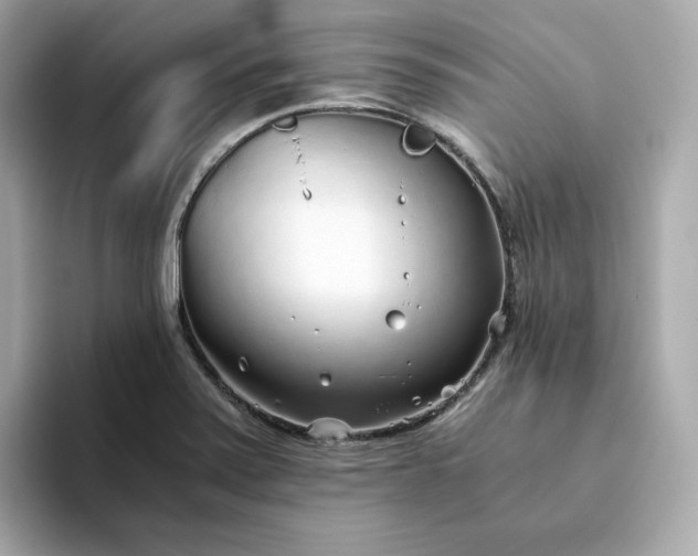 X0000093441371200710261031