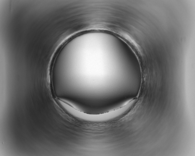 X0000093441372200710261031