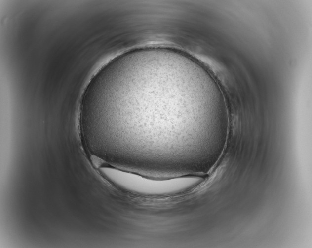 X0000093441374200710261031