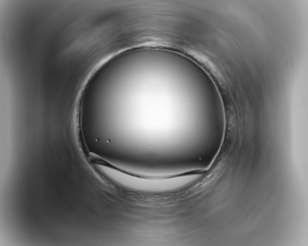 X0000093441375200710261031