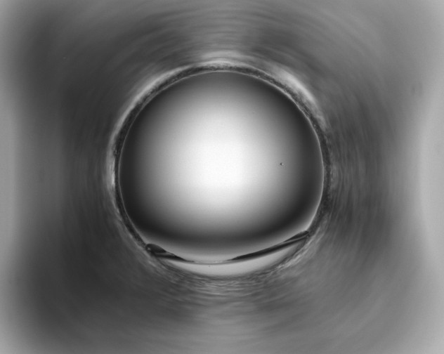 X0000093441376200710261031