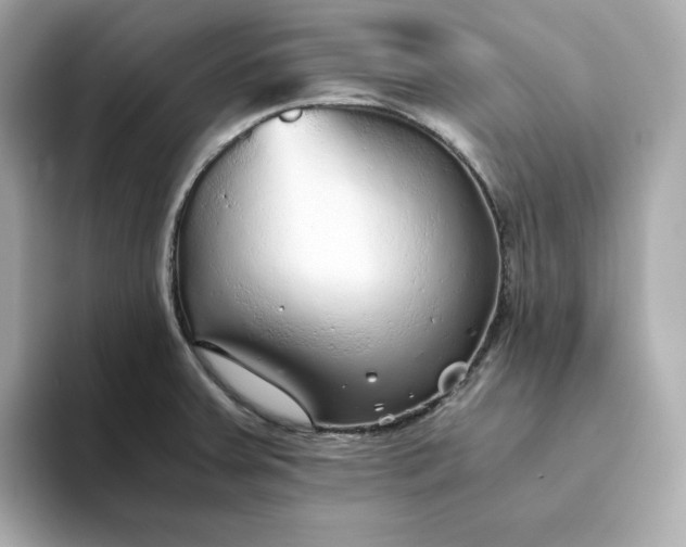X0000093441379200710261031