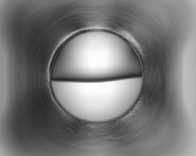 X0000093441380200710261031