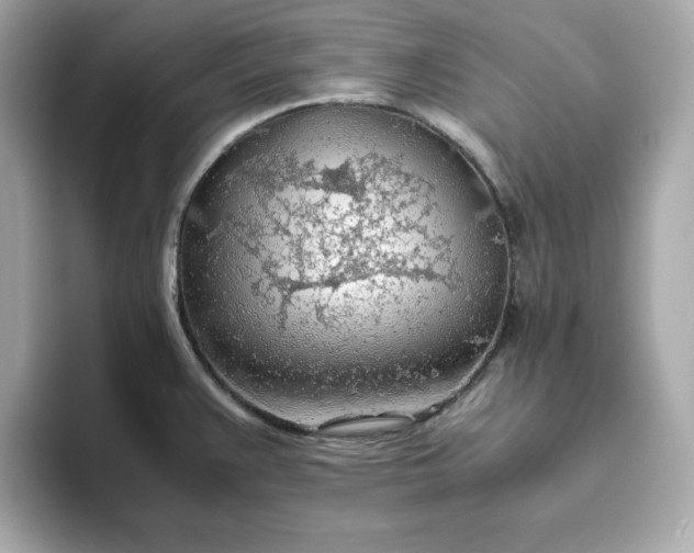X0000093441383200710261031