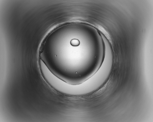 X0000093441384200710261031