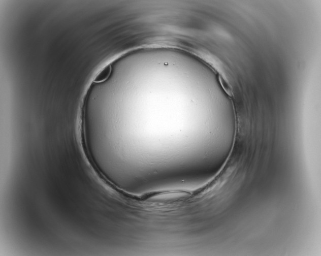 X0000093441387200710261031
