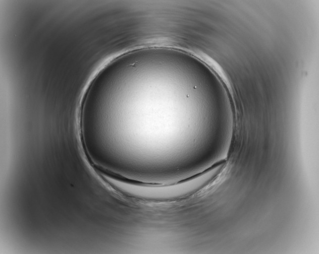 X0000093441389200710261031