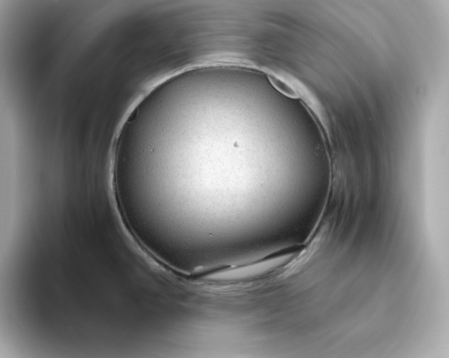 X0000093441390200710261031