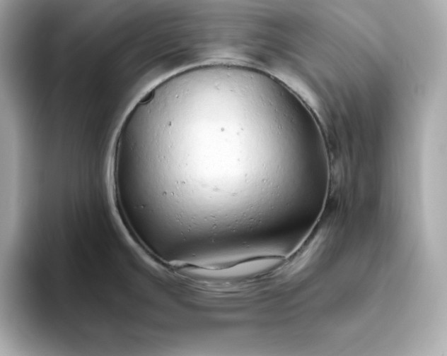 X0000093441391200710261031