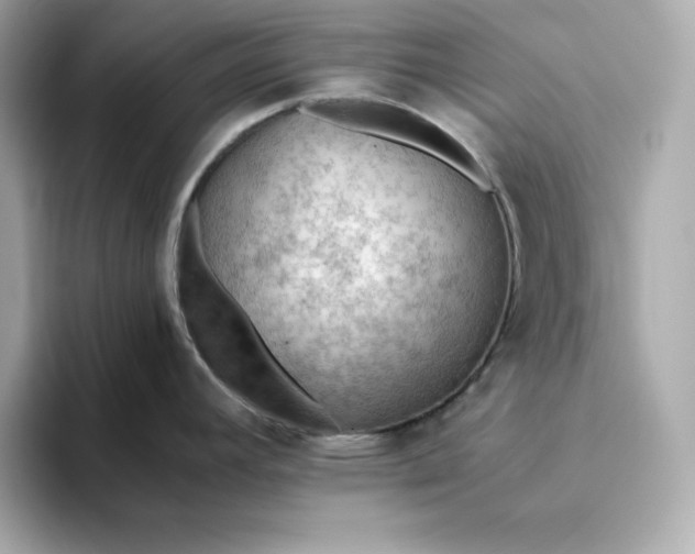 X0000093441392200710261031