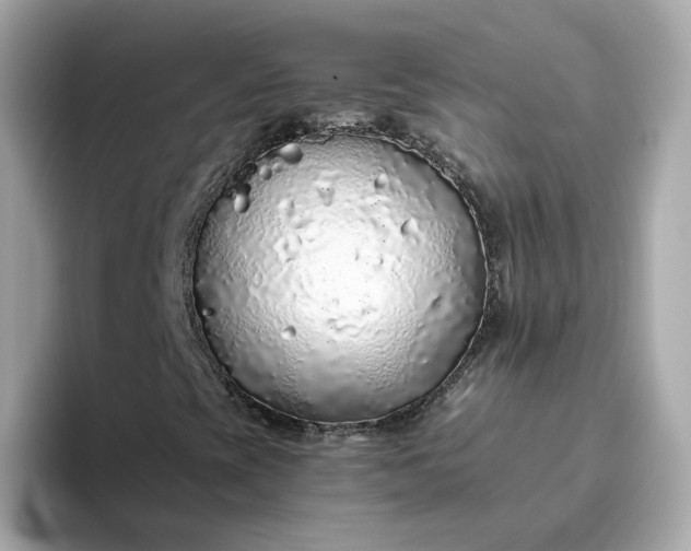 X0000093441393200710261030