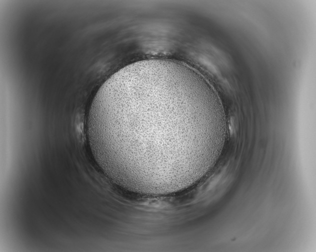 X0000093441396200710261030