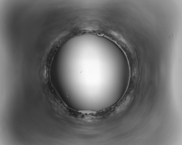 X0000093441398200710261030