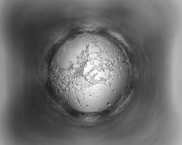 X0000093441399200710261030