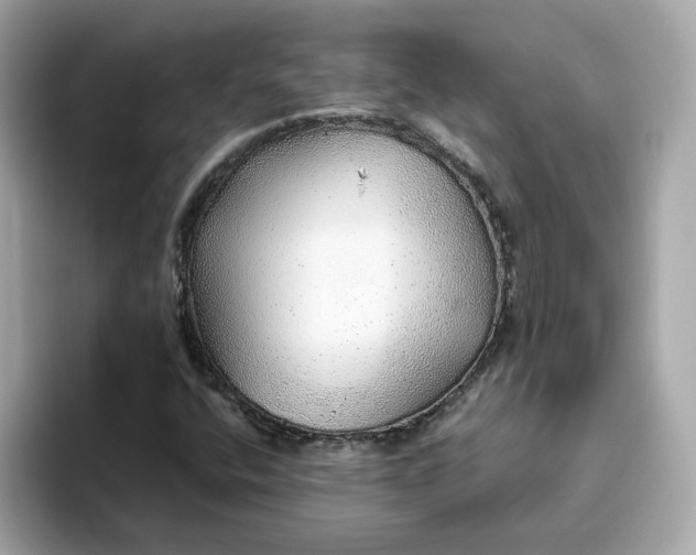 X0000093441400200710261030