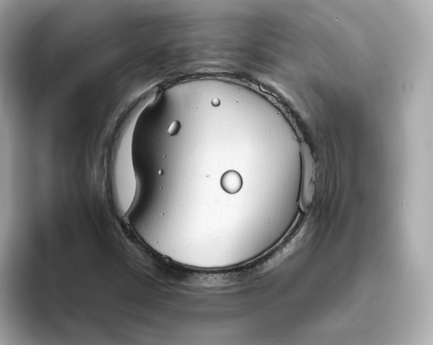 X0000093441402200710261030