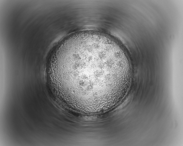 X0000093441403200710261030