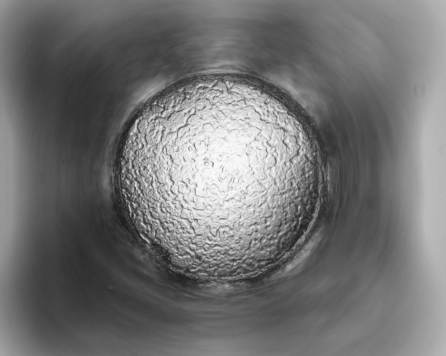 X0000093441405200710261030