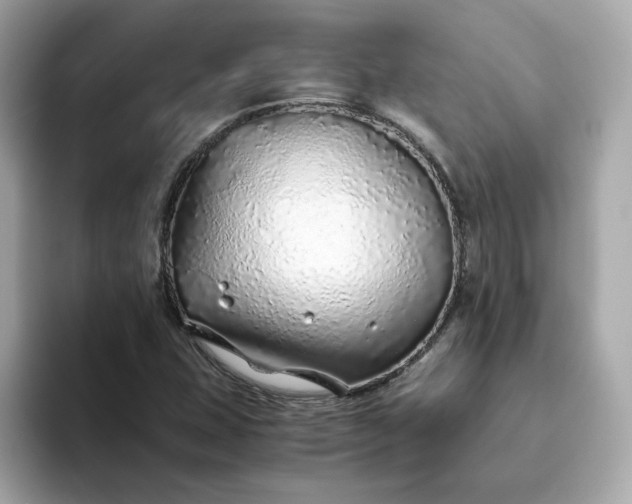 X0000093441407200710261030