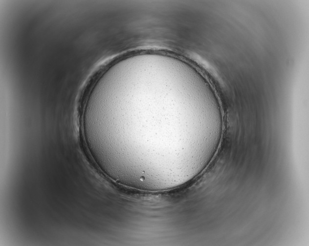 X0000093441408200710261030