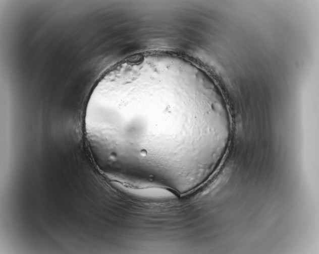 X0000093441409200710261030