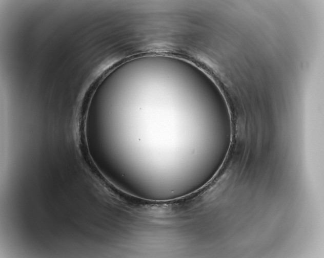 X0000093441410200710261030