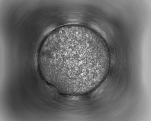 X0000093441411200710261030