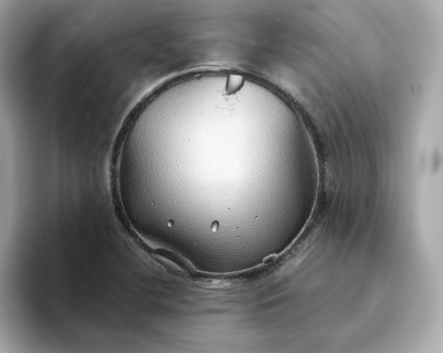X0000093441412200710261030