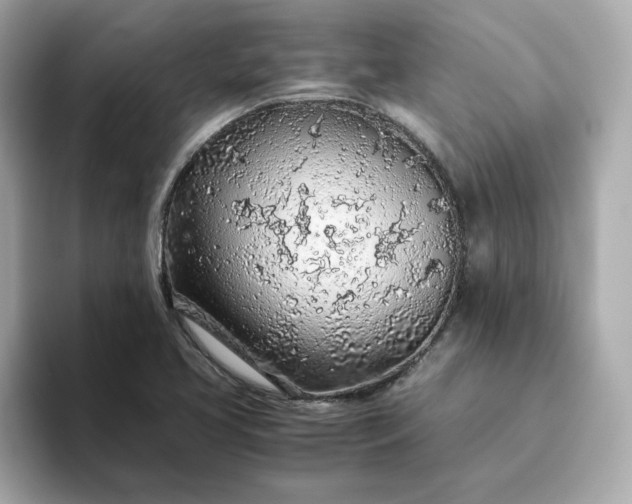 X0000093441413200710261030