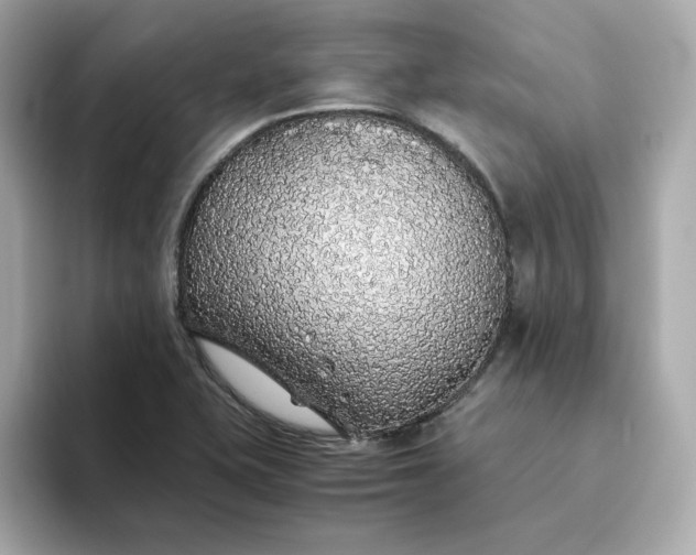 X0000093441415200710261031