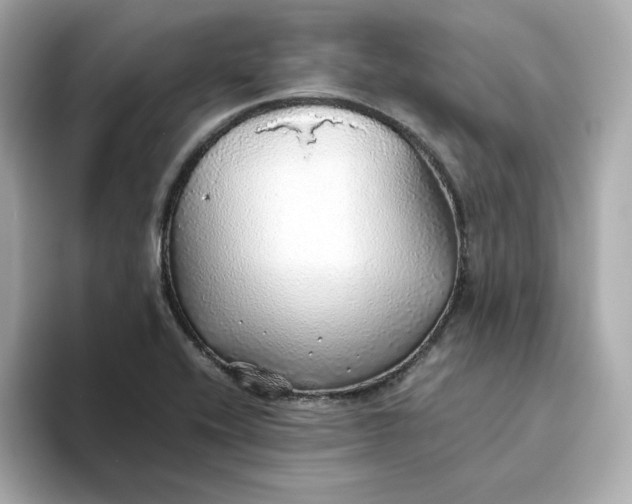 X0000093441416200710261031