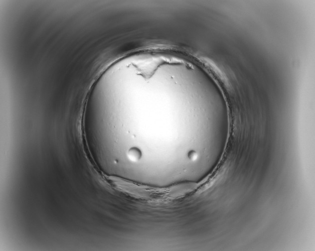 X0000093441417200710261031