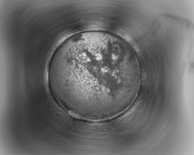 X0000093441419200710261031