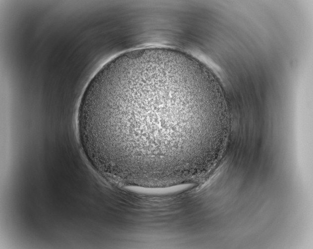X0000093441423200710261031