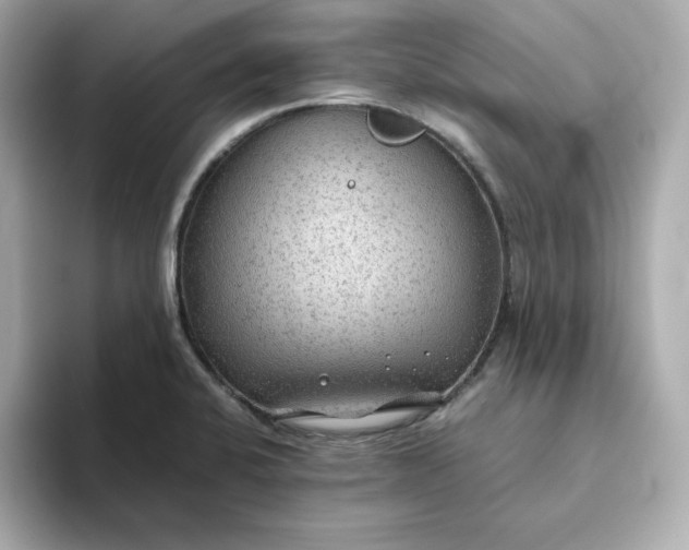 X0000093441424200710261031