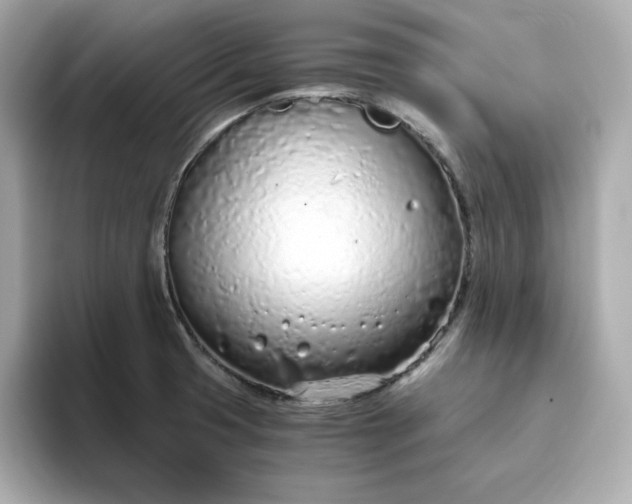 X0000093441425200710261031