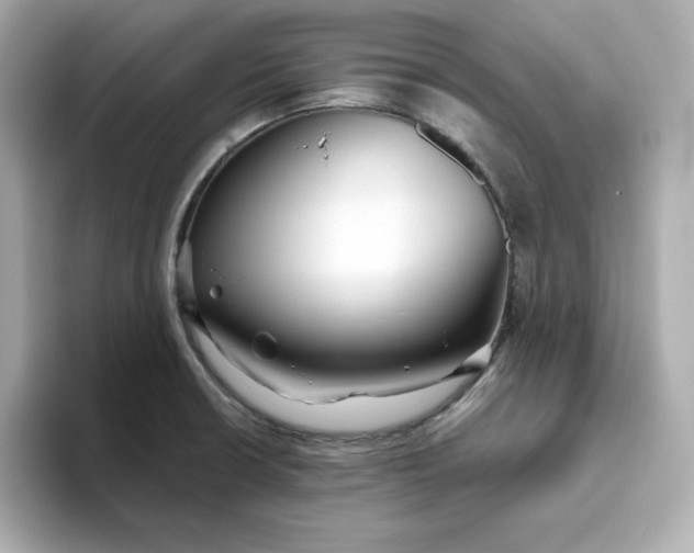 X0000093441426200710261031
